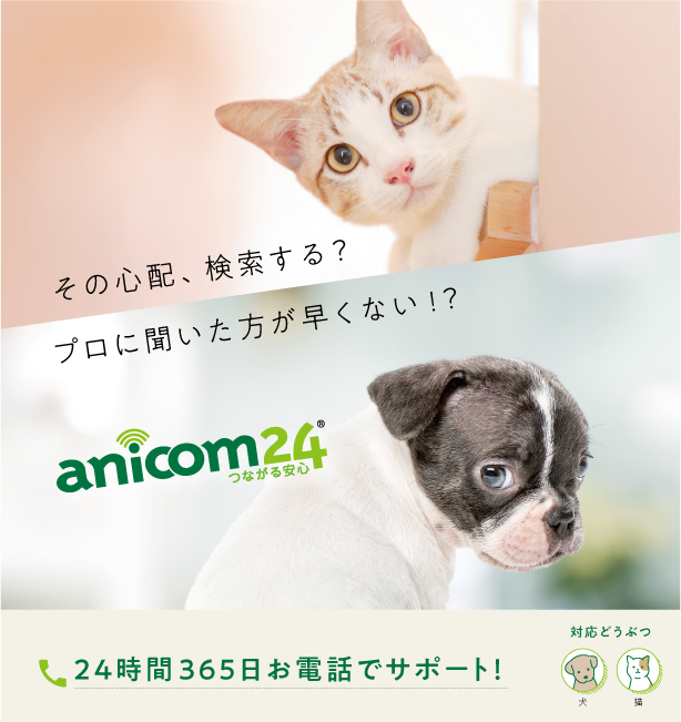 anicom24 どうぶつ健康相談紹介